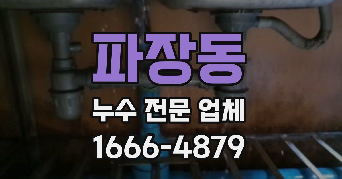 파장동 누수 전문 업체