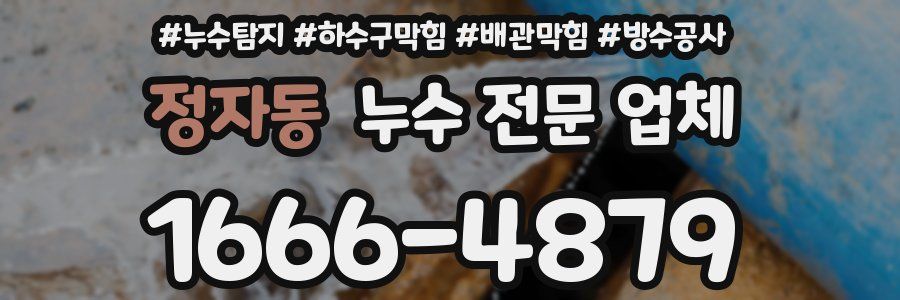 정자동 누수 전문 업체