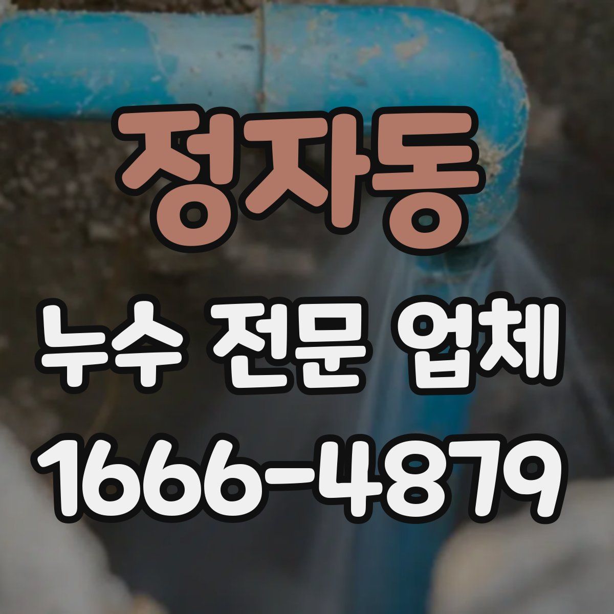 정자동 누수 전문 업체