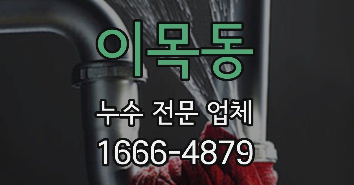 이목동 누수 전문 업체