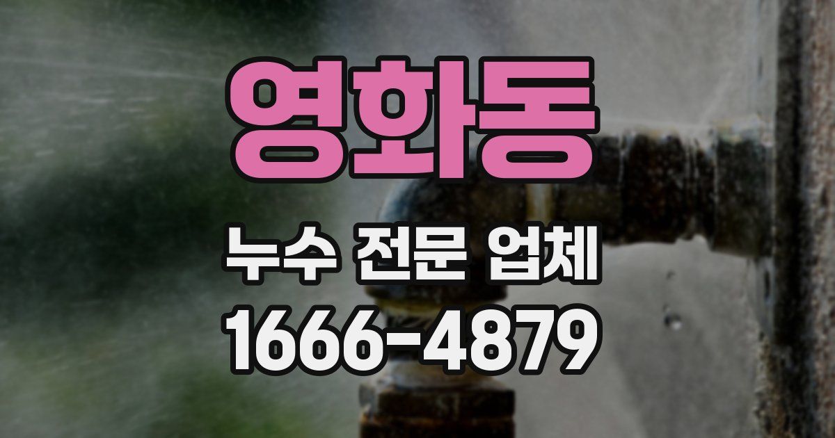 영화동 누수 전문 업체