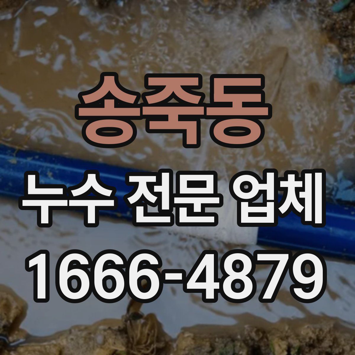 송죽동 누수 전문 업체