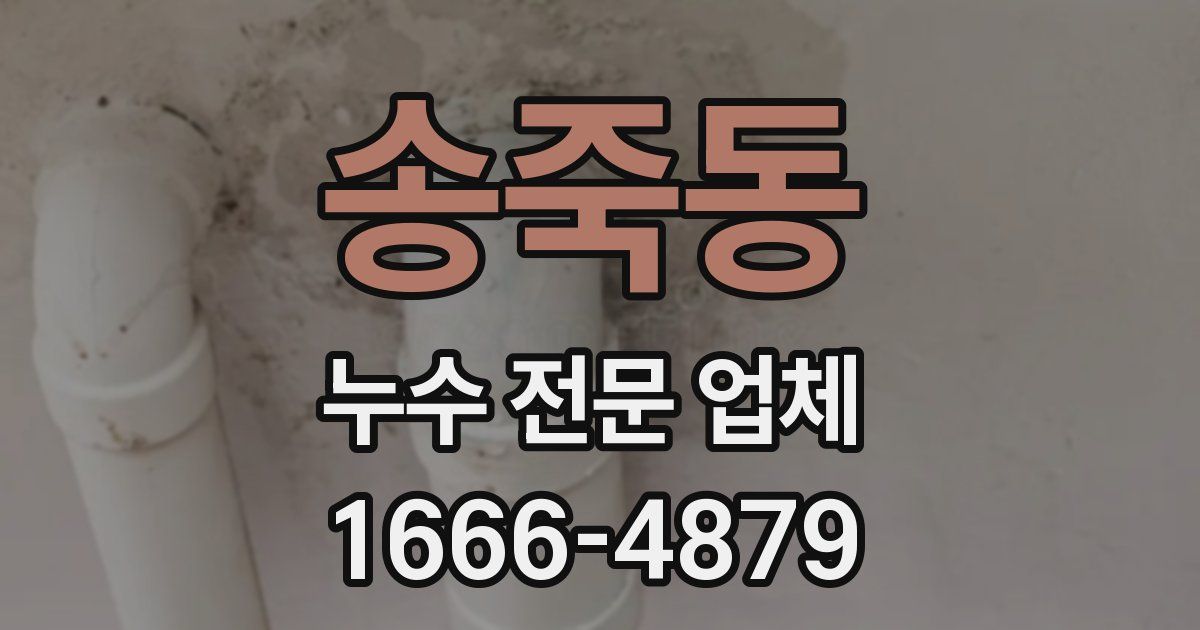 송죽동 누수 전문 업체