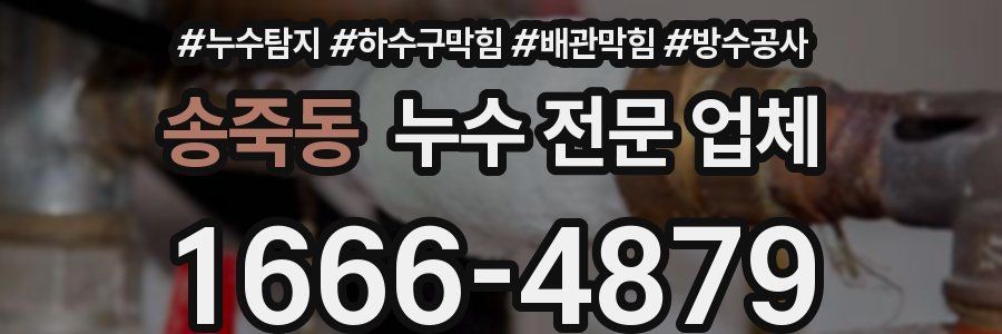 송죽동 누수 전문 업체