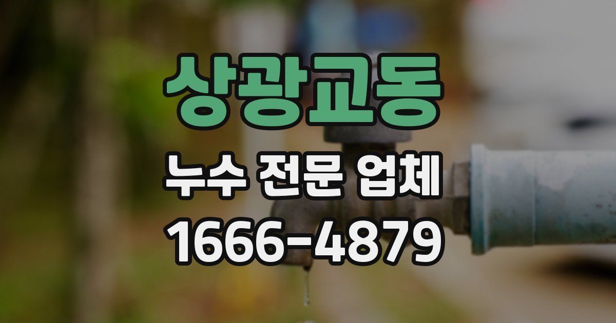 상광교동 누수 전문 업체