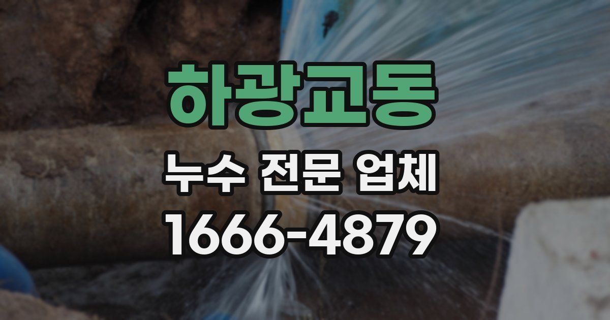 하광교동 누수 전문 업체