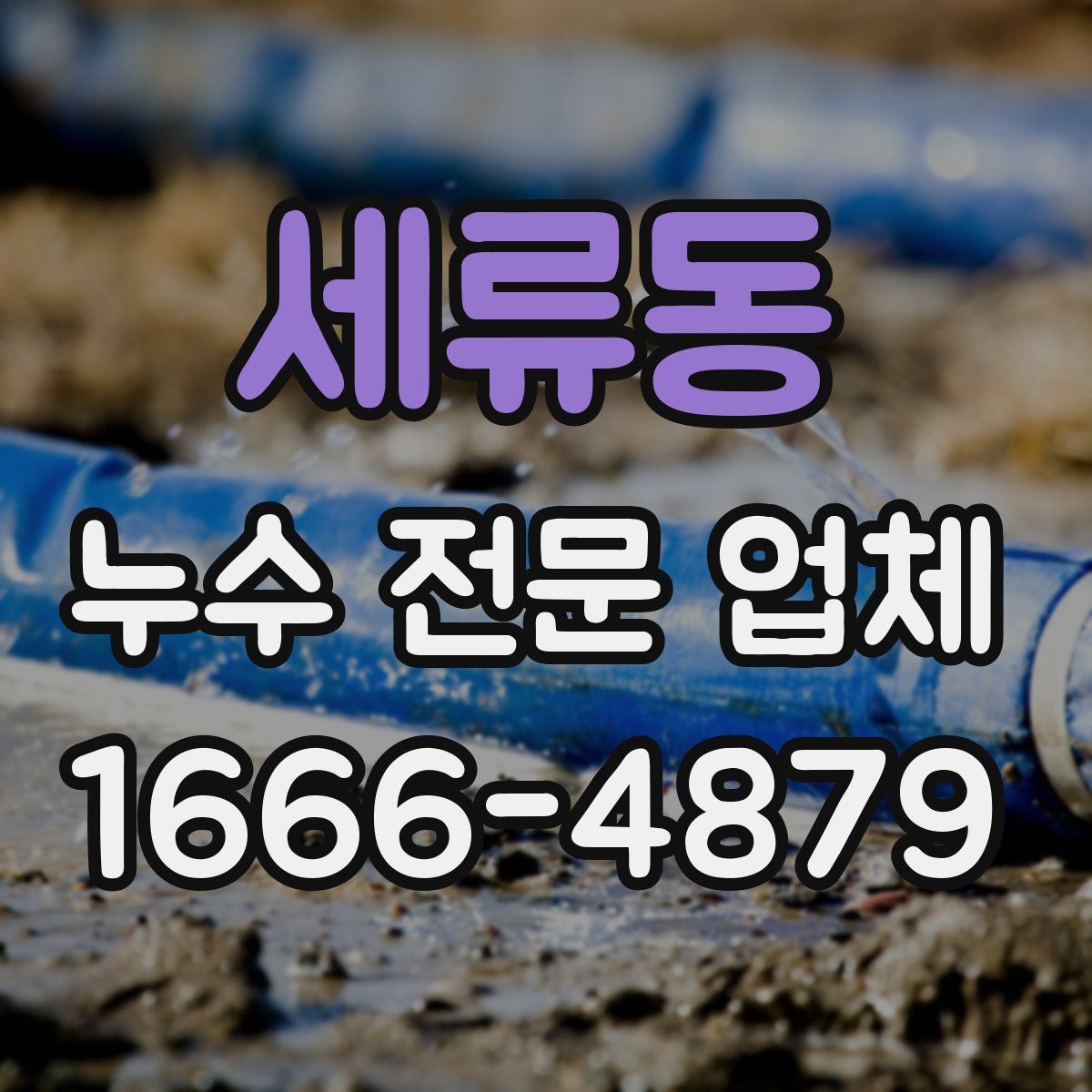 세류동 누수 전문 업체
