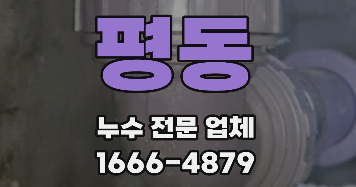 평동 누수 전문 업체