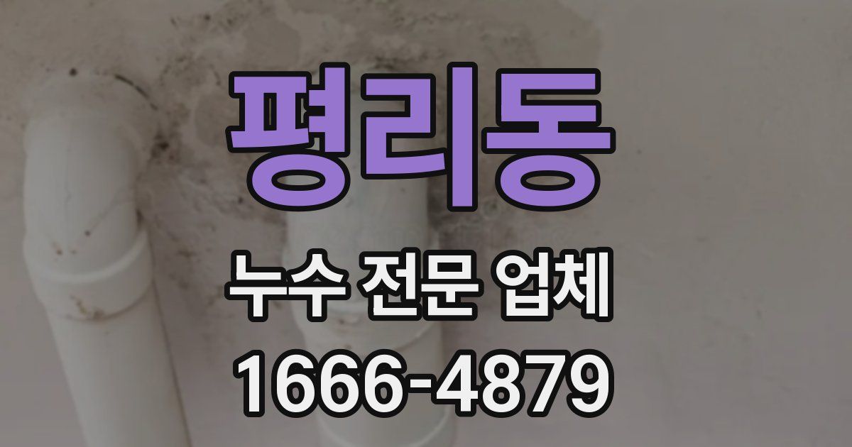 평리동 누수 전문 업체