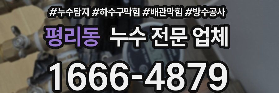 평리동 누수 전문 업체