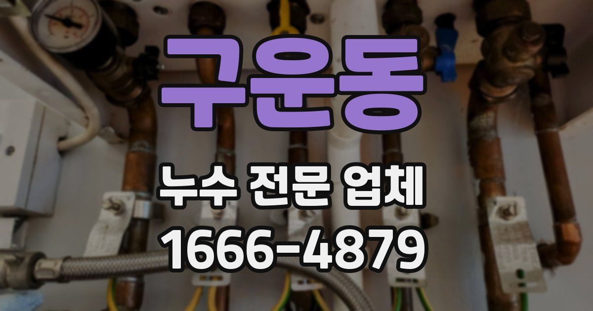 구운동 누수 전문 업체
