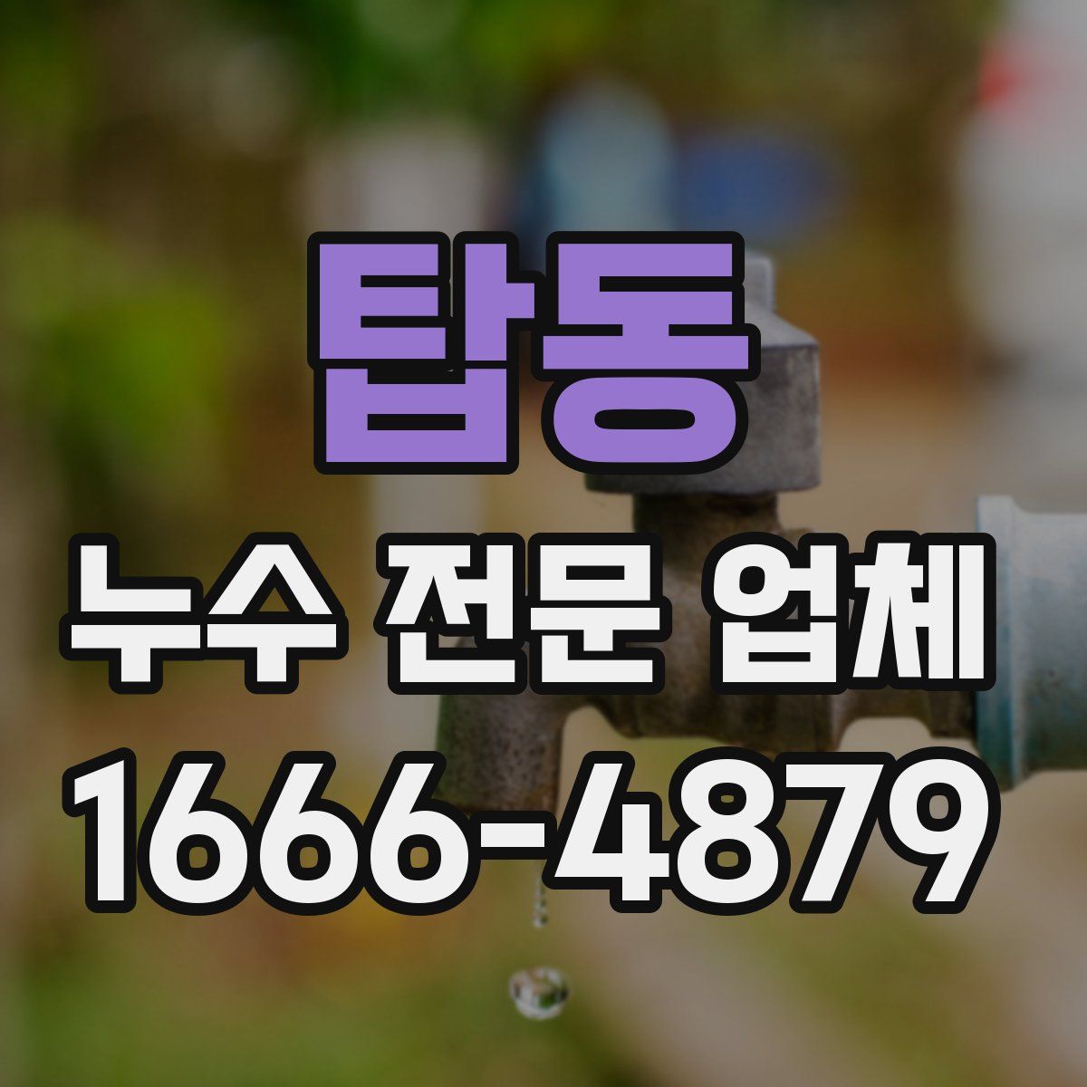 탑동 누수 전문 업체