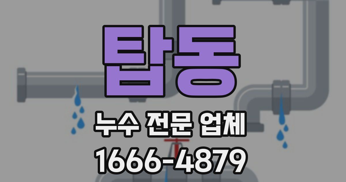 탑동 누수 전문 업체