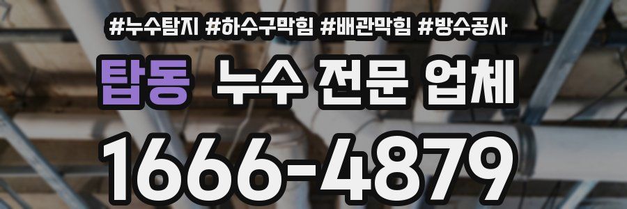 탑동 누수 전문 업체