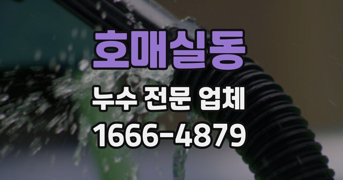 호매실동 누수 전문 업체