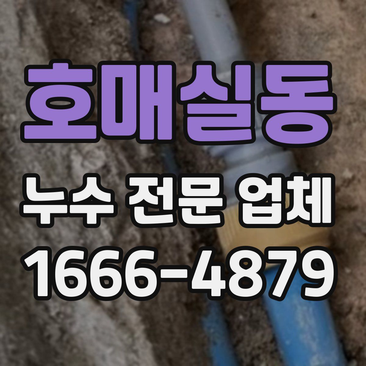 호매실동 누수 전문 업체