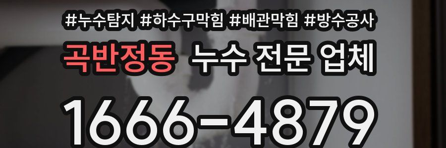 곡반정동 누수 전문 업체