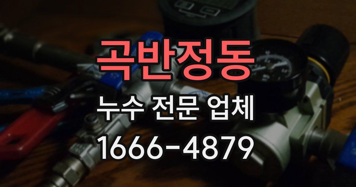곡반정동 누수 전문 업체