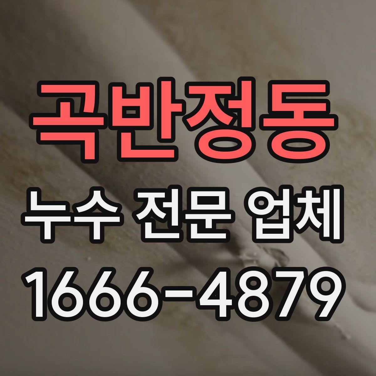 곡반정동 누수 전문 업체