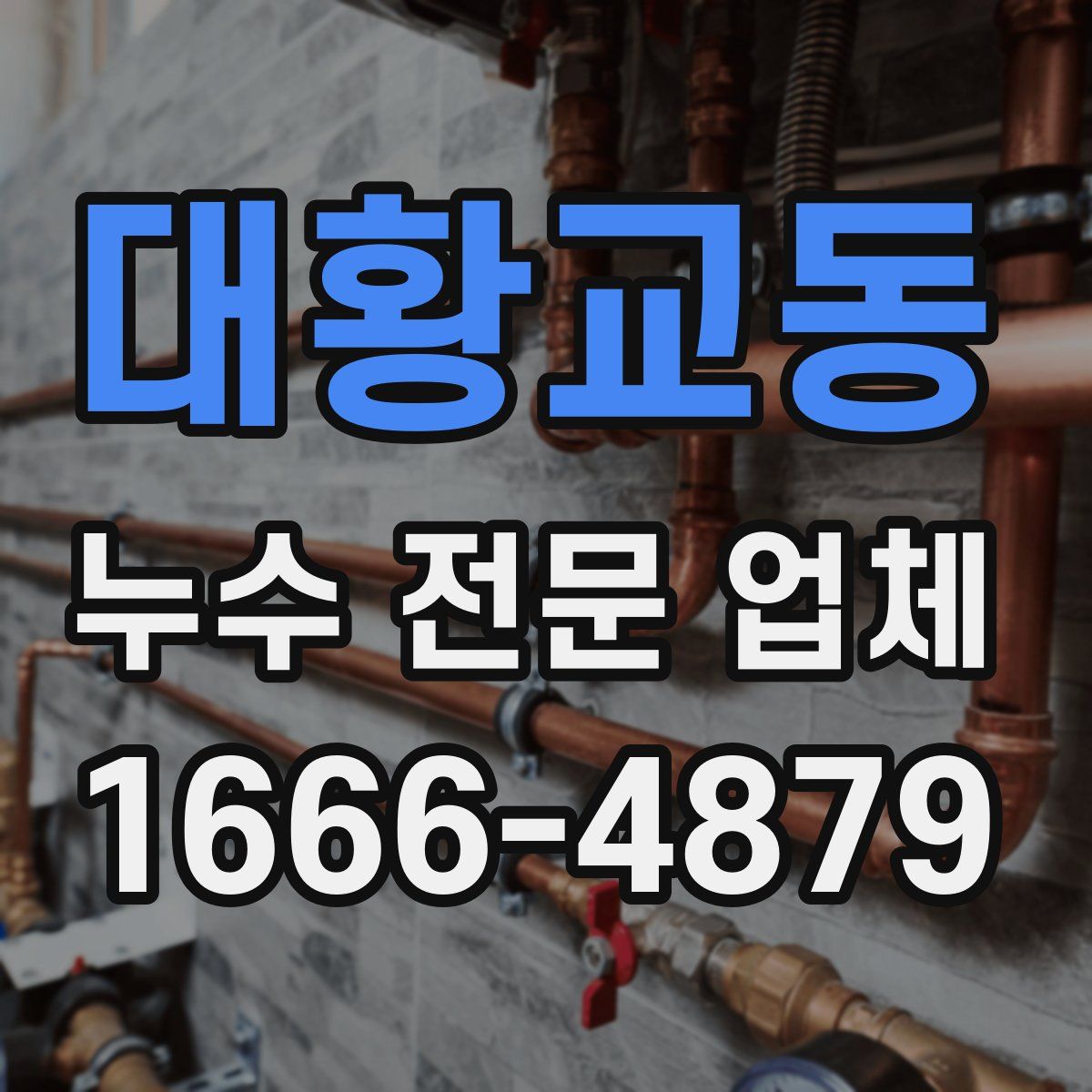 대황교동 누수 전문 업체