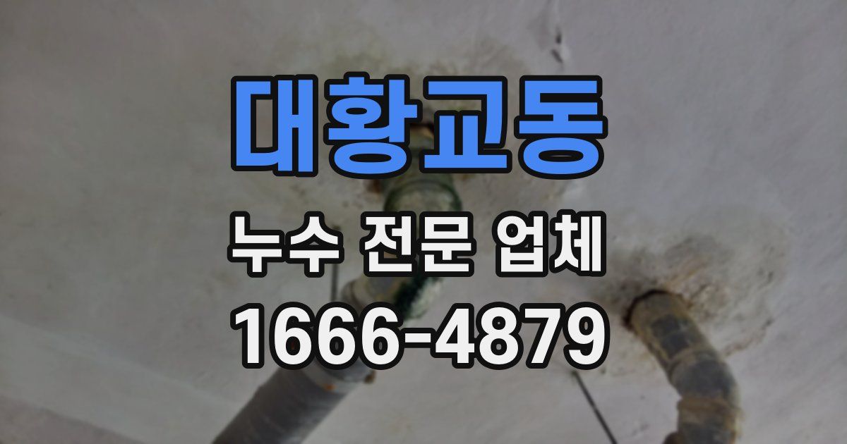 대황교동 누수 전문 업체