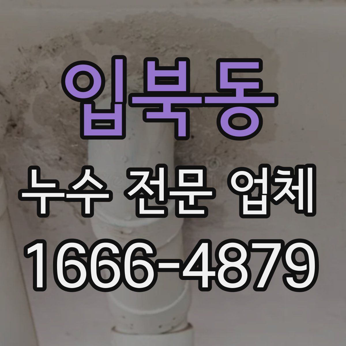 입북동 누수 전문 업체