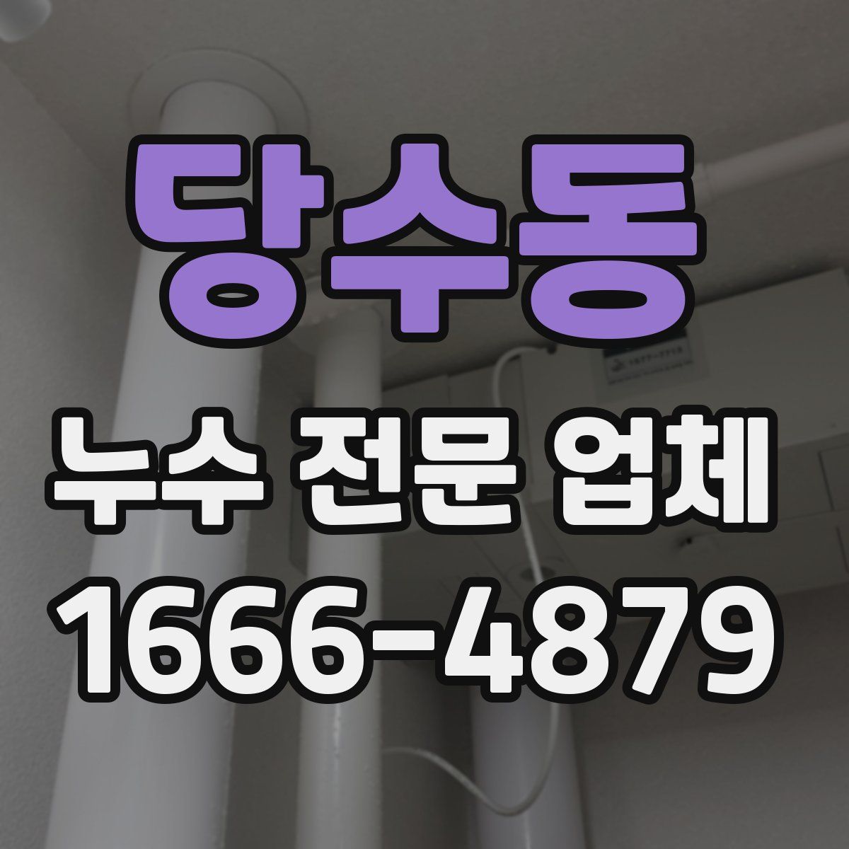 당수동 누수 전문 업체
