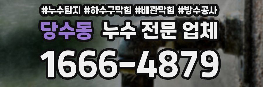당수동 누수 전문 업체