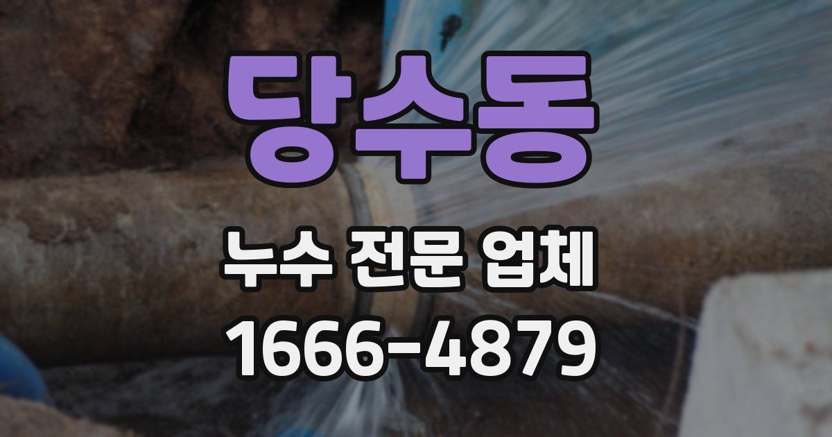 당수동 누수 전문 업체