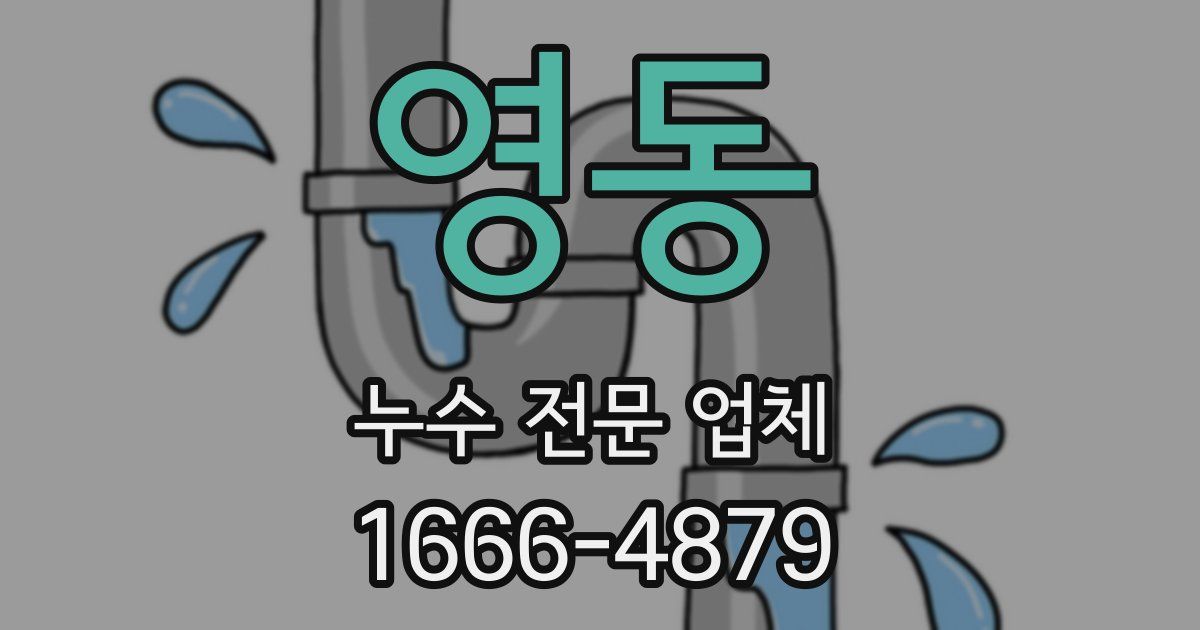 영동 누수 전문 업체