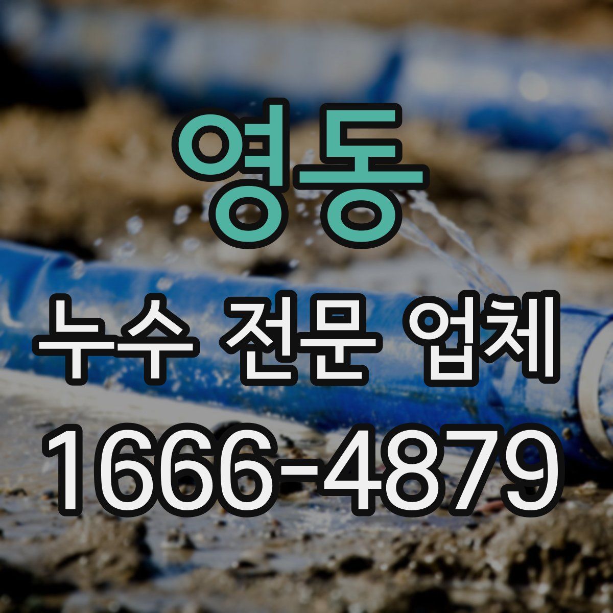 영동 누수 전문 업체