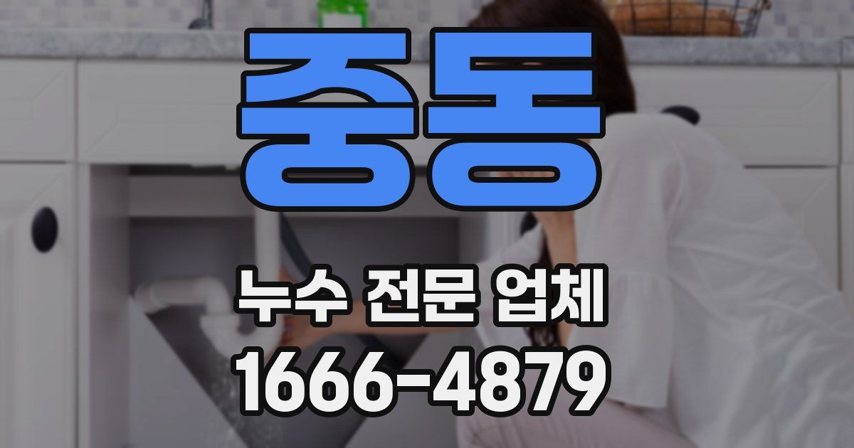 중동 누수 전문 업체
