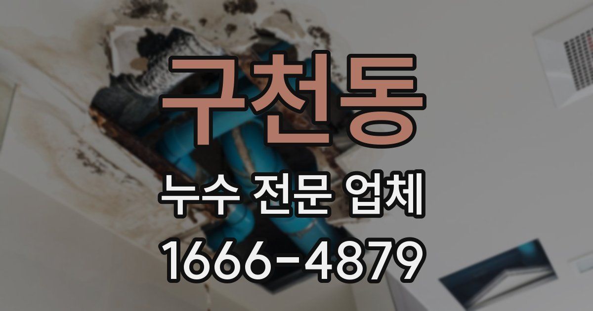 구천동 누수 전문 업체
