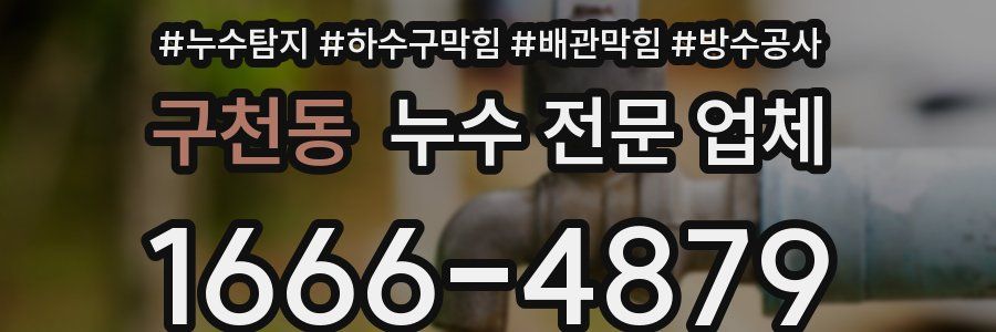 구천동 누수 전문 업체