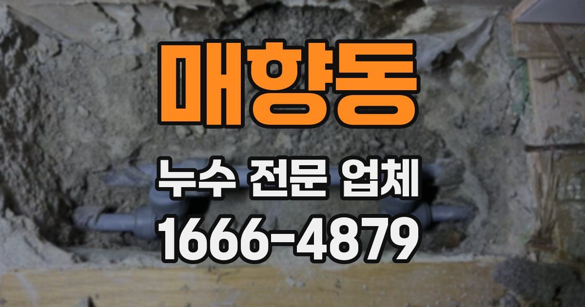 매향동 누수 전문 업체