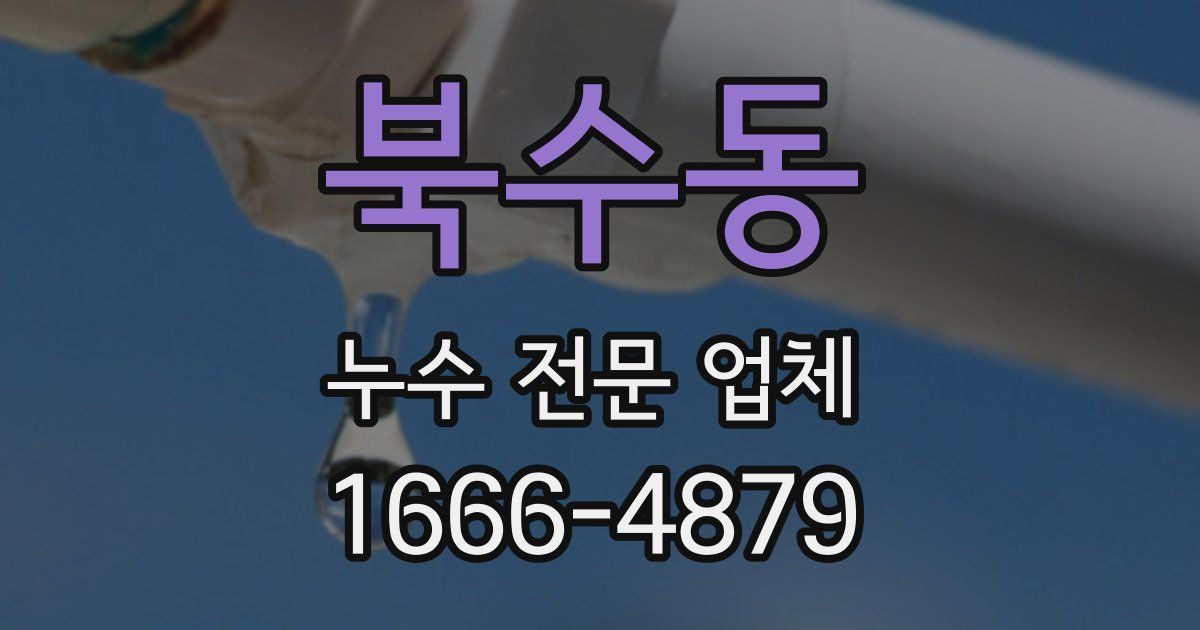 북수동 누수 전문 업체