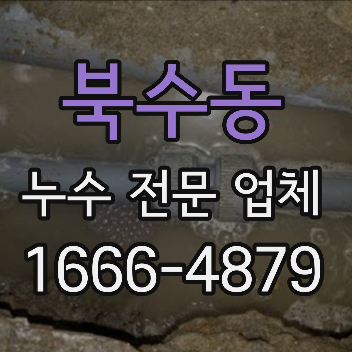 북수동 누수 전문 업체