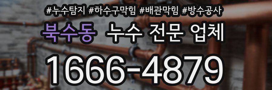 북수동 누수 전문 업체