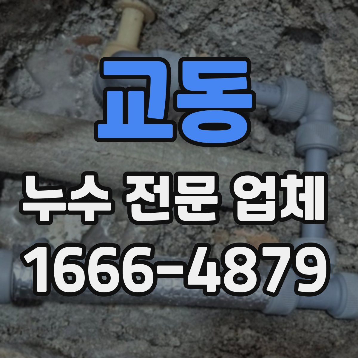 교동 누수 전문 업체