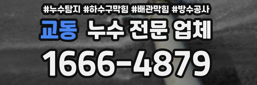 교동 누수 전문 업체