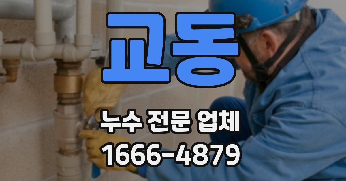 교동 누수 전문 업체