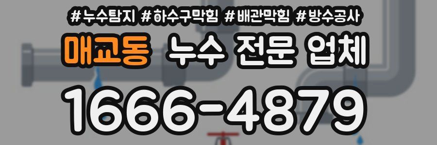 매교동 누수 전문 업체