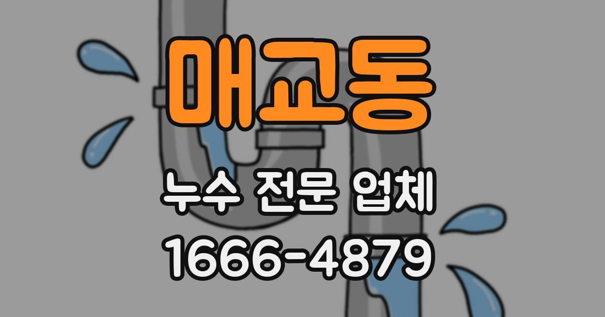 매교동 누수 전문 업체