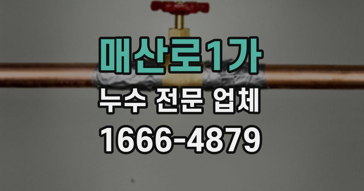 매산로1가 누수 전문 업체
