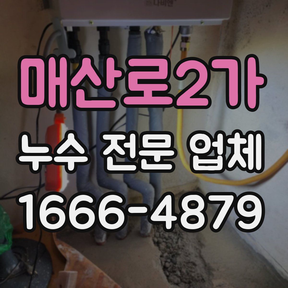 매산로2가 누수 전문 업체