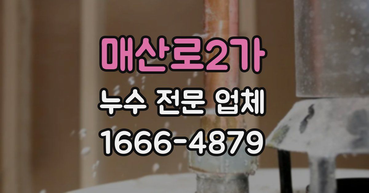 매산로2가 누수 전문 업체