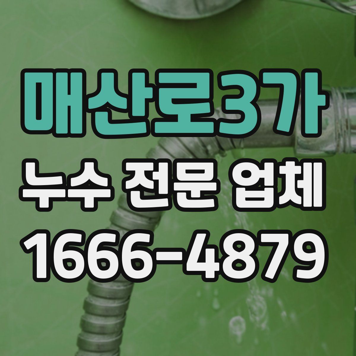 매산로3가 누수 전문 업체