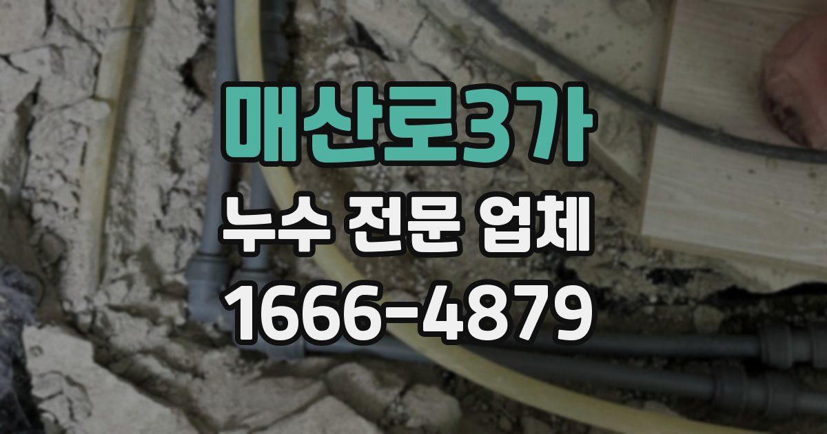 매산로3가 누수 전문 업체