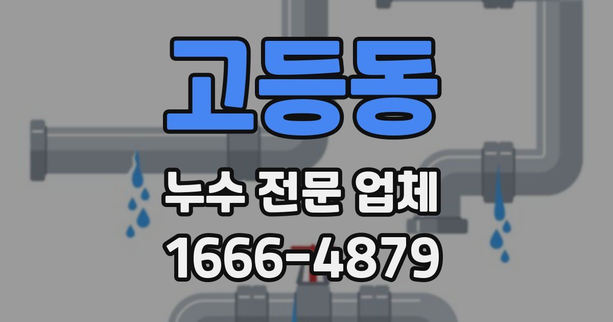 고등동 누수 전문 업체