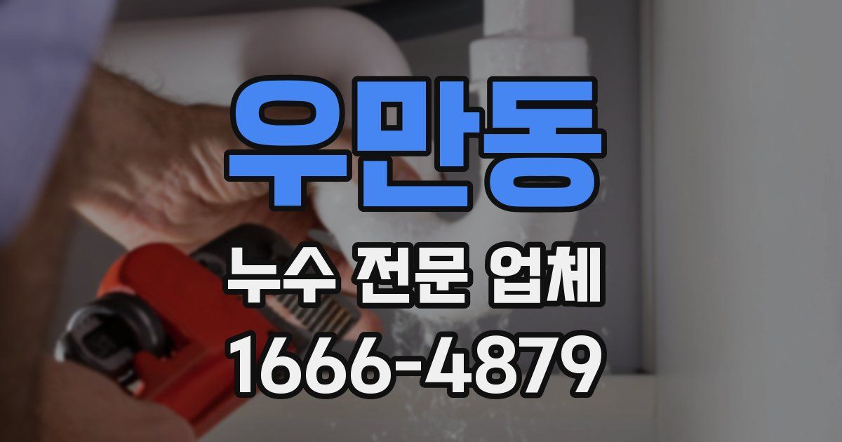 우만동 누수 전문 업체
